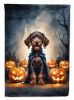 German Wirehaired Pointer Puppy Halloween Garden Flag Mailbox Flag Decorative Yard Flag Banner Outside Patio Artwork Yard Flower Beds, Garden Size